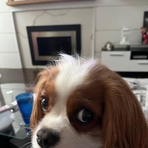 Meet your Posher, Christine